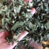 calma refill Blend refil